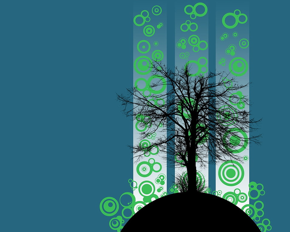 bare tree on blue background HD wallpaper