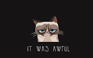 It Was Awful with cat face illustration HD wallpaper