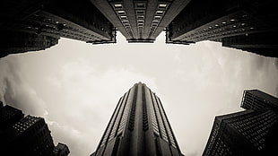 low angle photo of highrise buildings