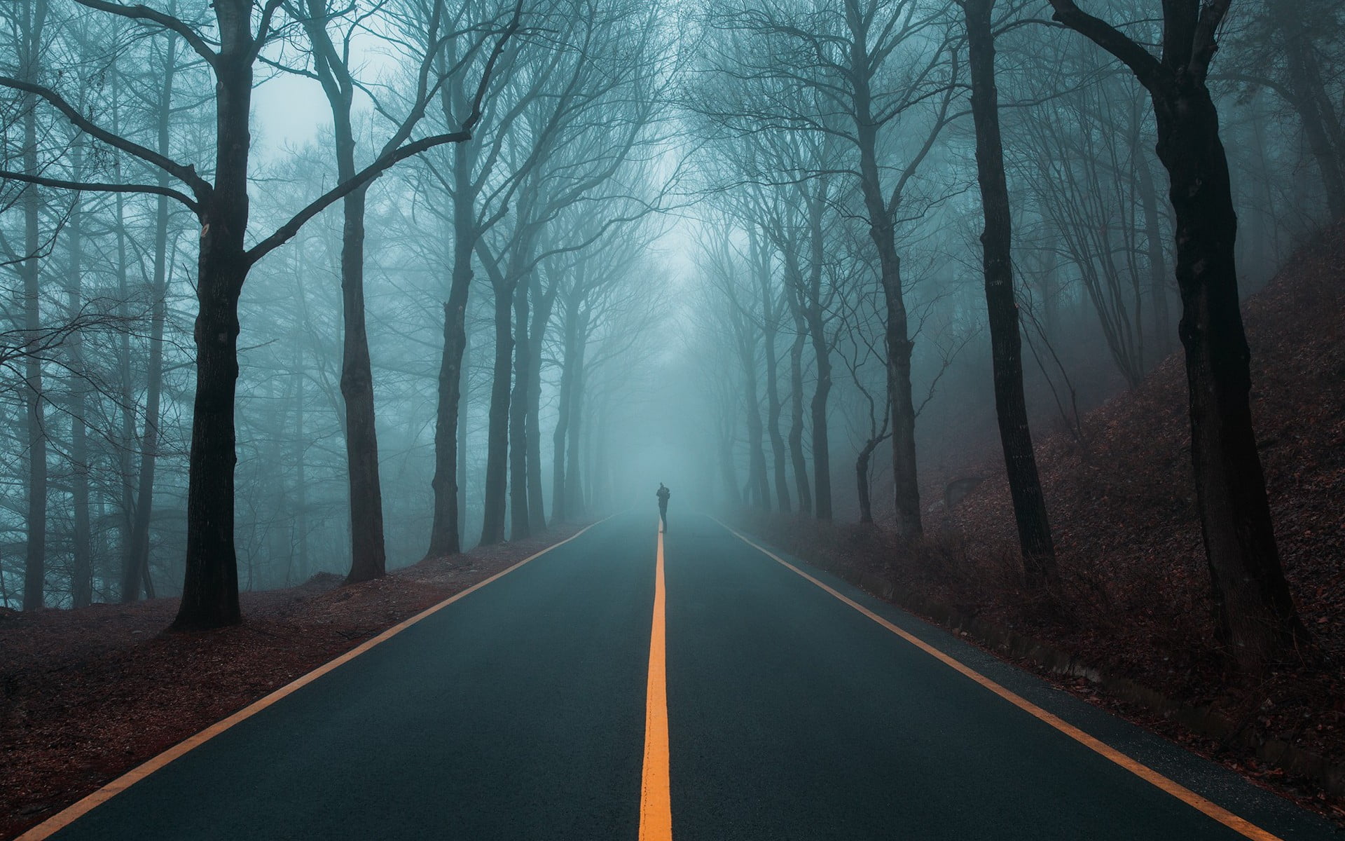 Три никуда. Темная дорога. Дорога в тумане. Лес туман дорога. Дорога в лесу.