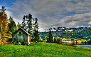 brown shed in grass field beside lake under heavy clouds