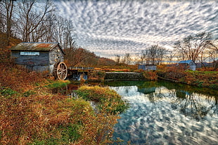 cirrus clouds, Wisconsin, fall, mill, pond HD wallpaper