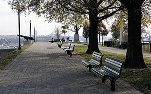 brown wooden framed white padded sofa set, bench, city, trees
