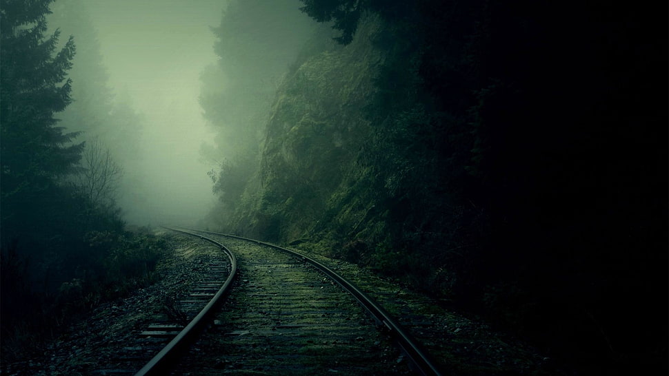 grey rail road, mist, nature, trees, forest HD wallpaper