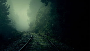 grey rail road, mist, nature, trees, forest