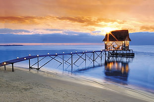 brown and black dock with restaurant, beach, horizon, sea