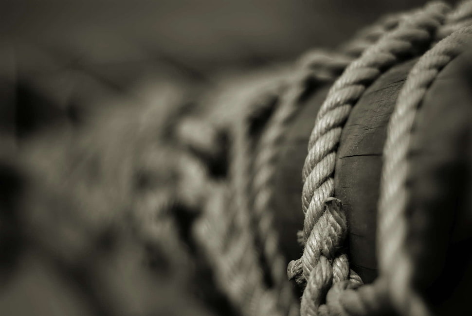 grayscale rope, ropes HD wallpaper
