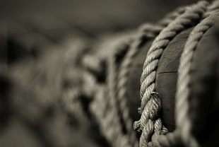 grayscale rope, ropes