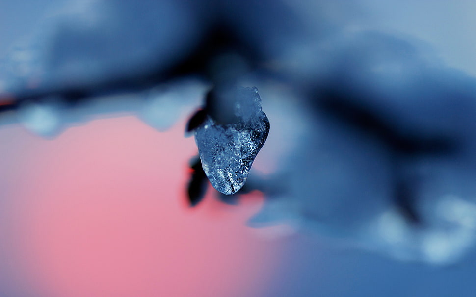 bokeh HD wallpaper