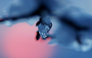 bokeh