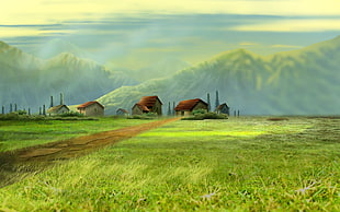 brown barn house, landscape HD wallpaper