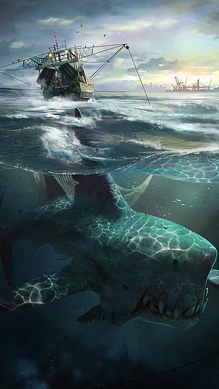 shark under water HD wallpaper