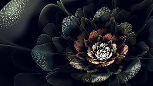 red petaled flower, abstract, fractal, fractal flowers, digital art HD wallpaper