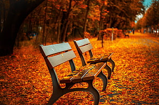 two brown wooden bench