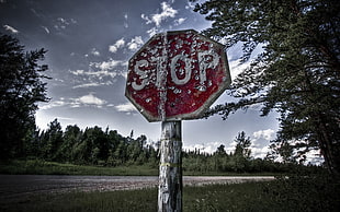 red and white stop road signage, road HD wallpaper