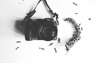 grayscale photo of black DSLR camera beside of green fern
