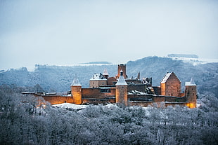 brown stone castle surrounded with trees during winter season