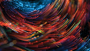 macro photography of red and blue strings