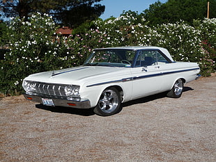 white coupe, car, white cars, vehicle, Plymouth