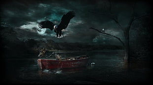 black and white eagle painting, photo manipulation, nature, boat, landscape