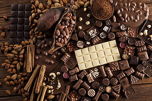 bunch of chocolates, chocolate, cocoa, delicious HD wallpaper