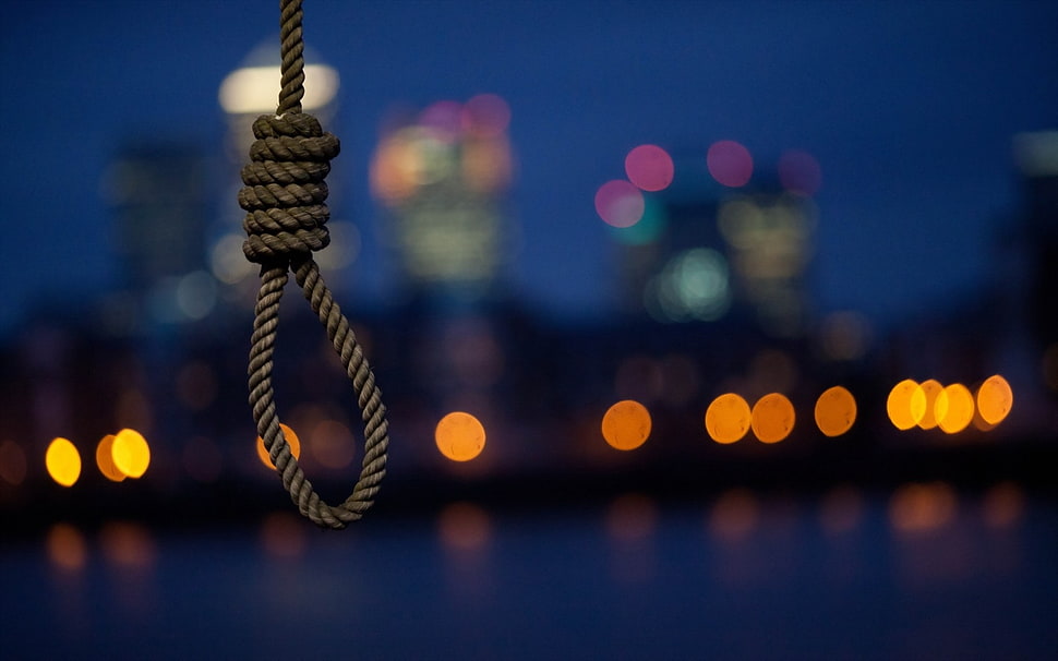 brown rope HD wallpaper