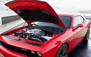 red Dodge Challenger SRT coupe, Dodge Challenger