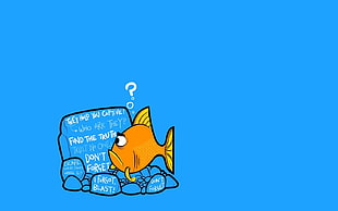 closeup photo of orange fish against blue background illustration