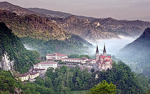 green trees, Covadonga, Spain, town, aerial view