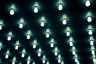 white light bulb lot