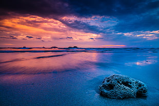 sunset seashore photography HD wallpaper