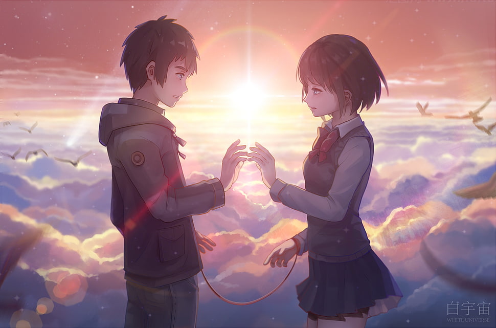 Your Name Digital Wallpaper Hd Wallpaper Wallpaper Flare