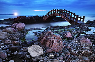 landscape photography of brown bridge and sea, chinese