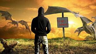person standing in front of dragons with dragon ahead signage illustration, dragon, Sun, landscape