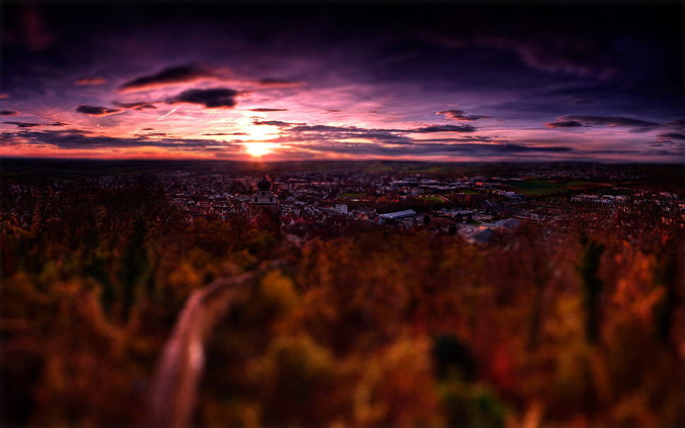 cityscape HD wallpaper