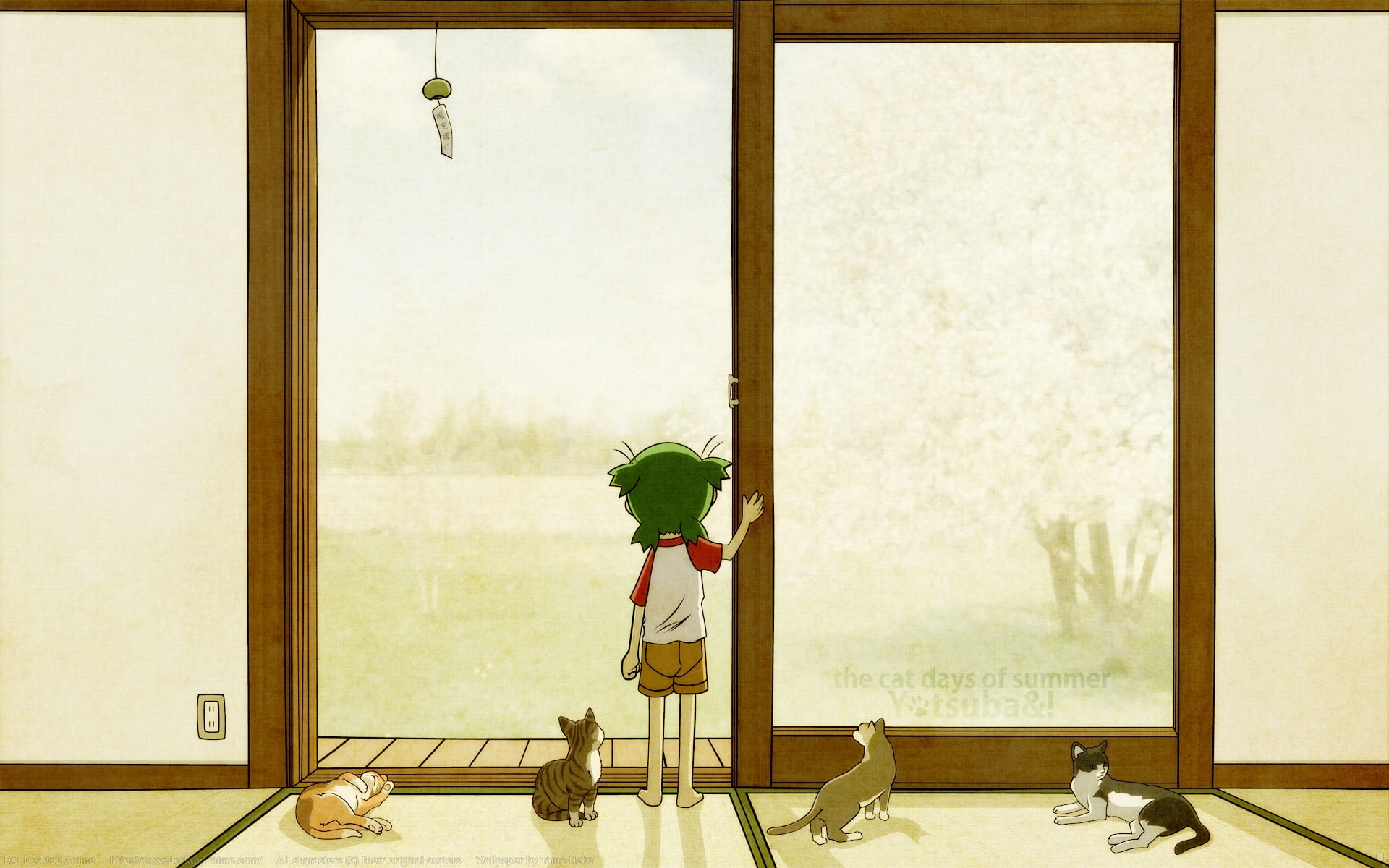 Boy standing near brown wooden door illustration, anime, Yotsubato, cat HD  wallpaper | Wallpaper Flare