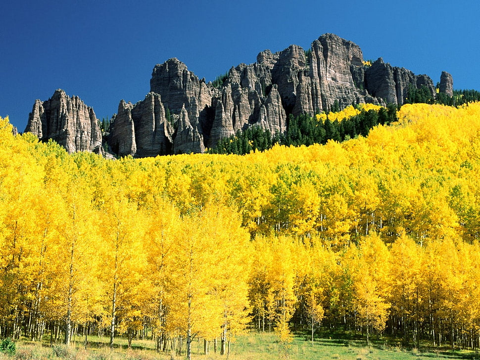 landscape photo of mountainous region HD wallpaper