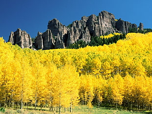 landscape photo of mountainous region HD wallpaper