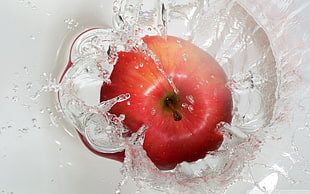 red apple, macro, apples, fruit, splashes HD wallpaper