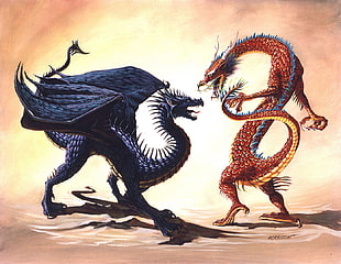 oriental and western dragon illustration, dragon, CG HD wallpaper