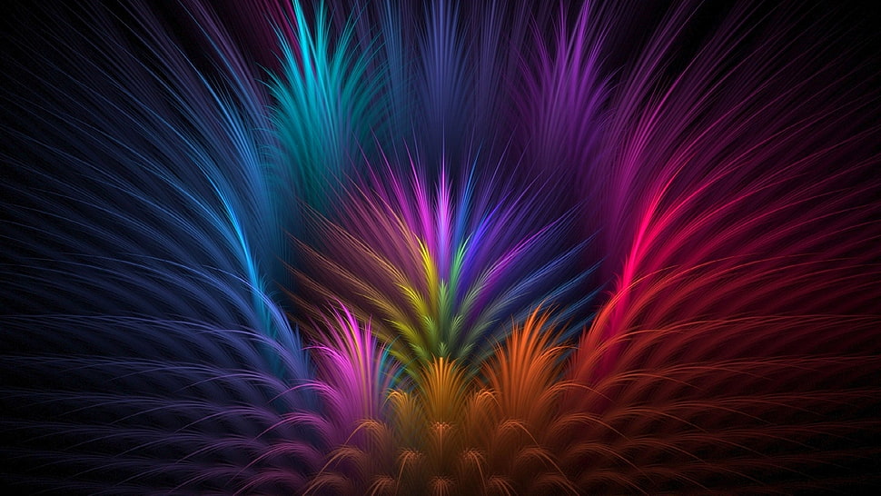 red and multicolored feather illustration HD wallpaper