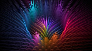 red and multicolored feather illustration HD wallpaper