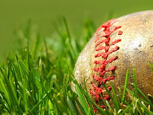 baseball on green grass HD wallpaper