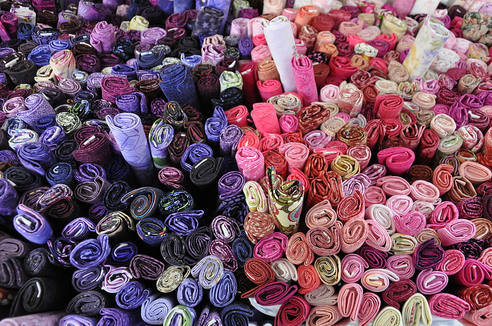 purple and pink roses HD wallpaper