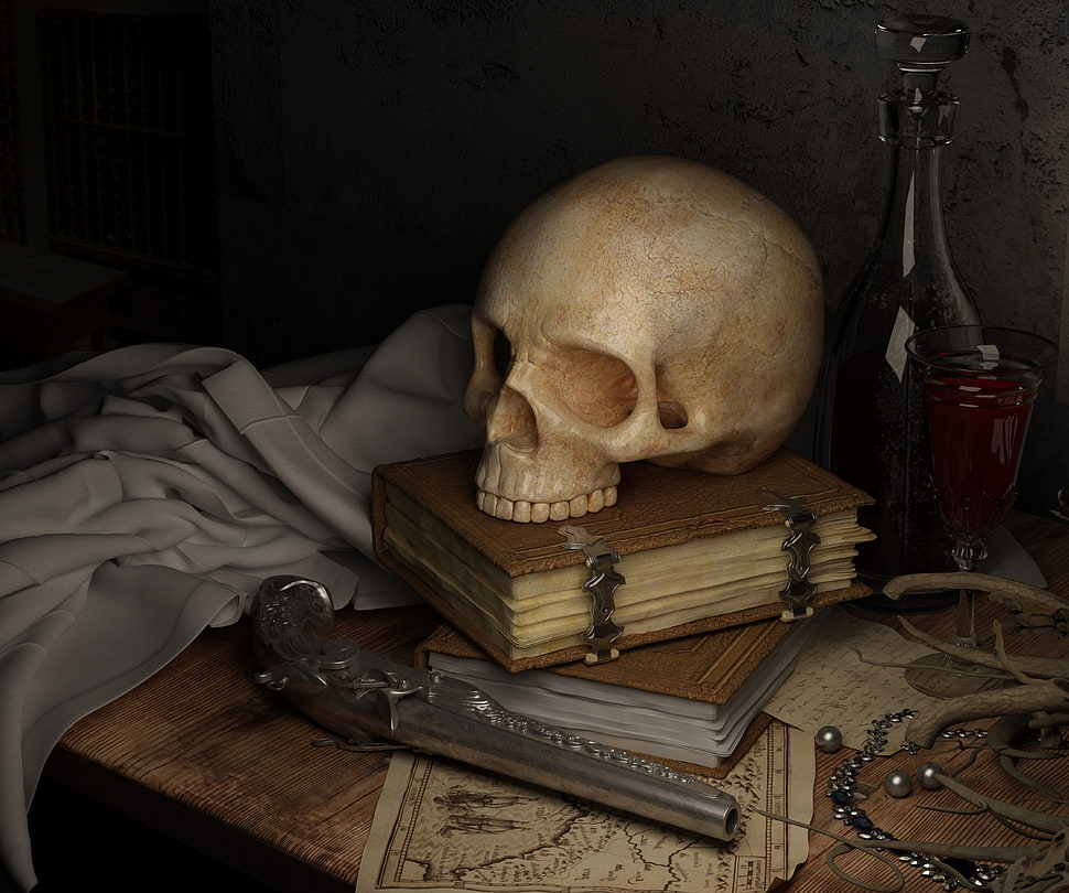white human skull on brown book HD wallpaper
