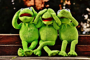 three kermit frog plush toys on wooden surface HD wallpaper
