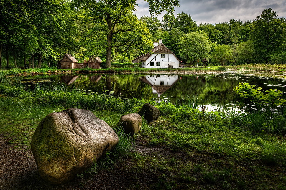 white and brown house, nature HD wallpaper