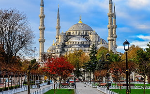 white concrete building, Sultan Ahmed Mosque, Istanbul, Turkey, sultan ahmed