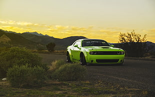 green and black Chevy Camaro photography during day time