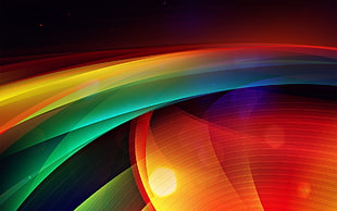 multicolored line illustration HD wallpaper